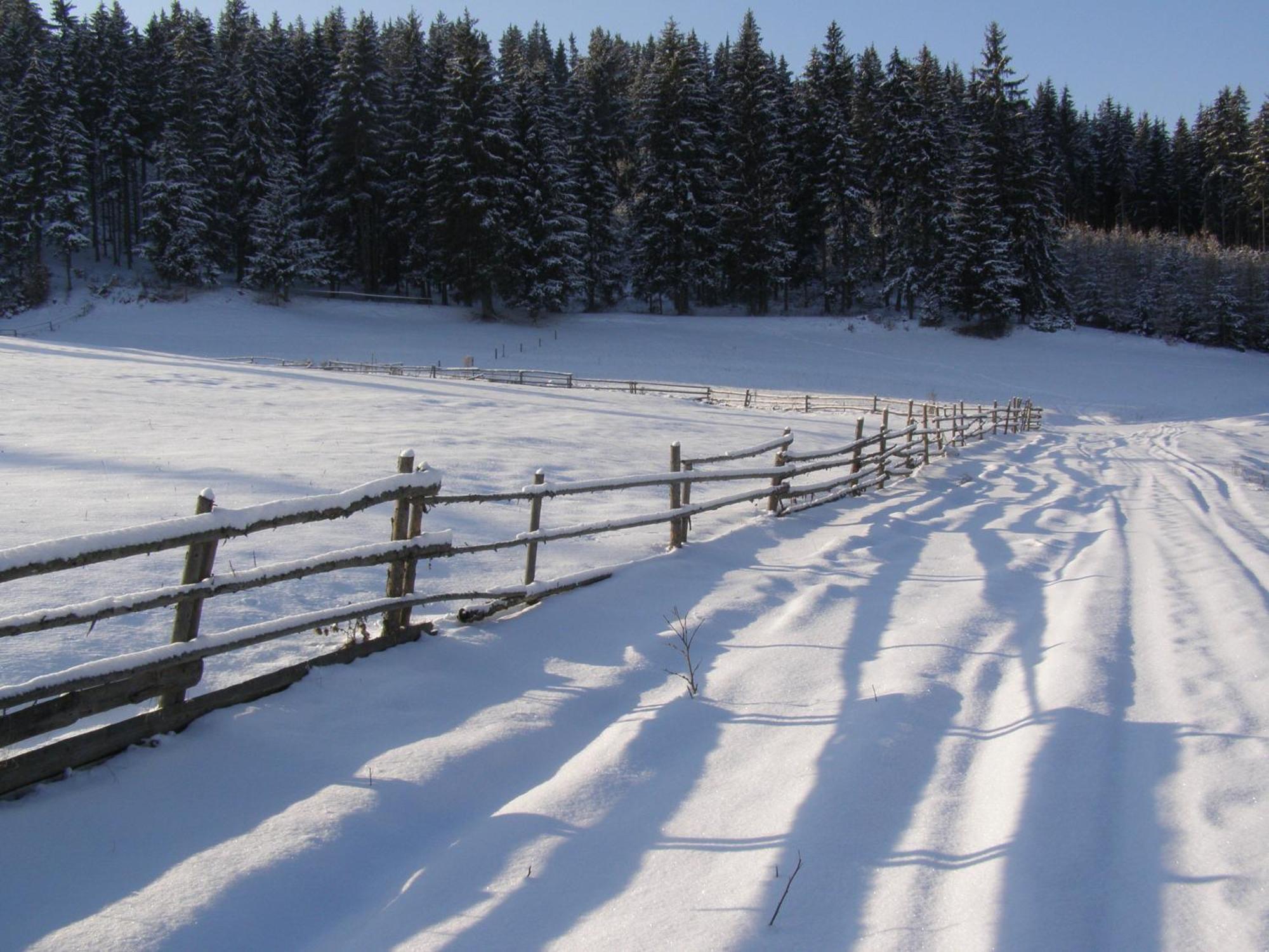 Pension Harmonia Miercurea Ciuc Exteriör bild